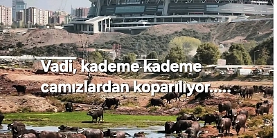 Dursun Bulut’tan Muhalefete Sert Eleştiri: Gerçek Gündem Nerede?